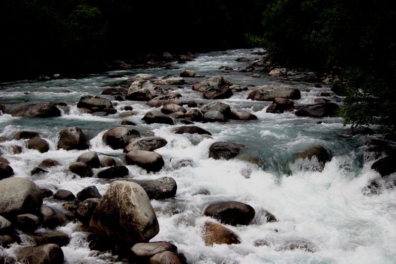 070404 Hope Hatcher Montana Creek (10125)